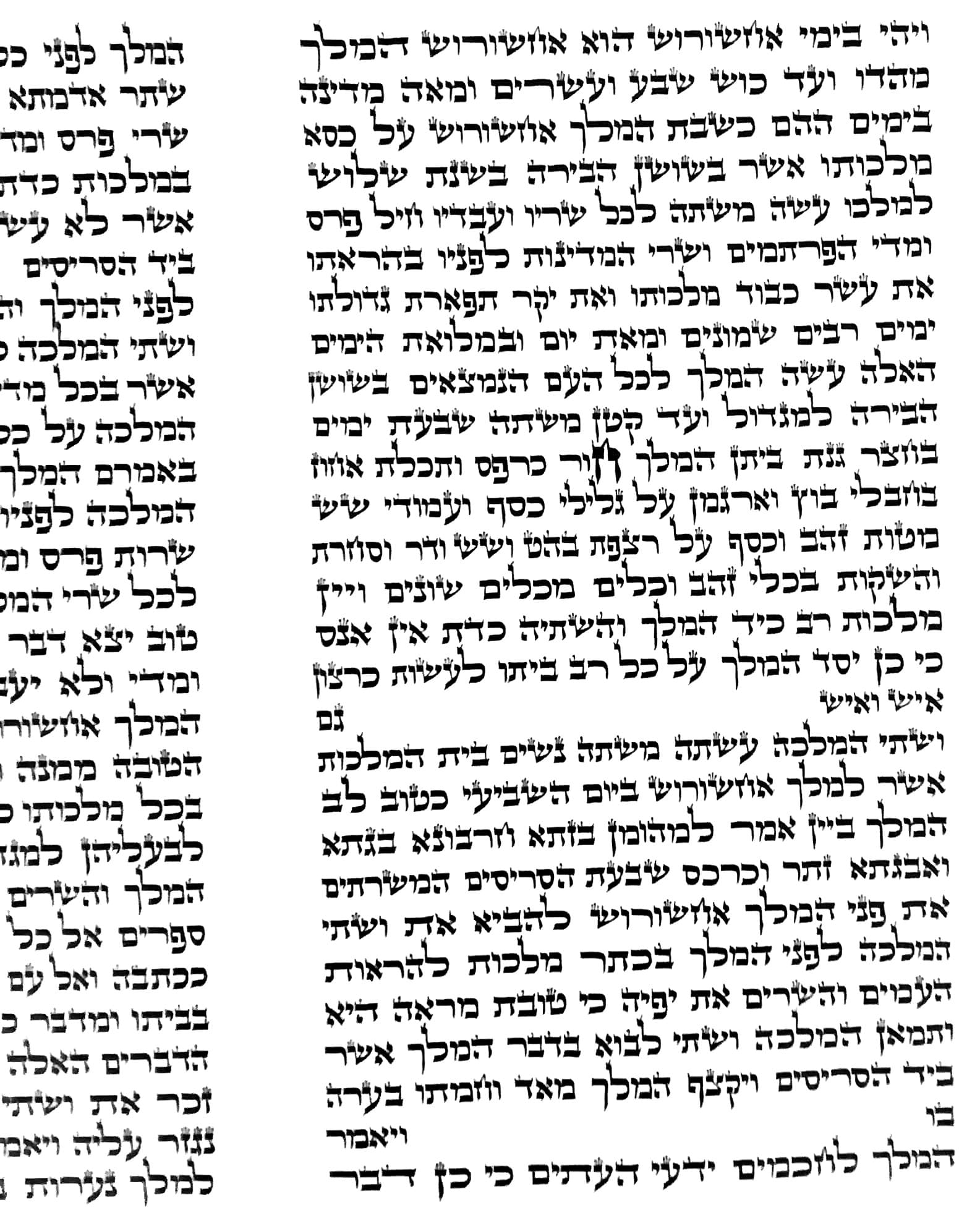 Mehudar Megillot Esther Scrolls