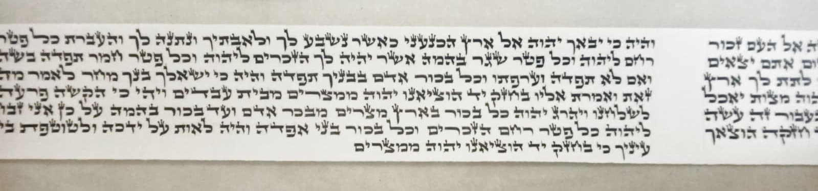 Tefillin Parshiyot - Ari Script